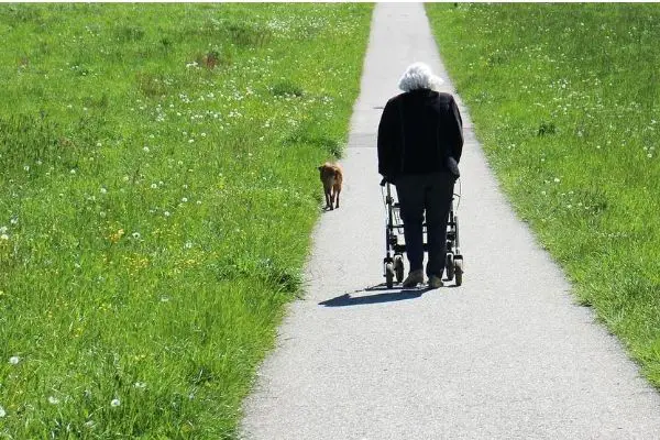 Elderly walking outside on a rollator