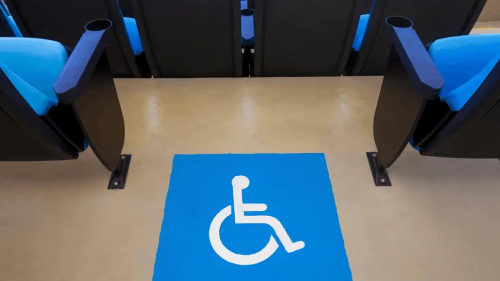 what-is-a-wheelchair-companion-seat