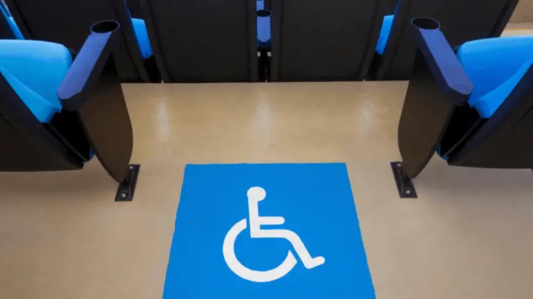 What is a Wheelchair Companion Seat?